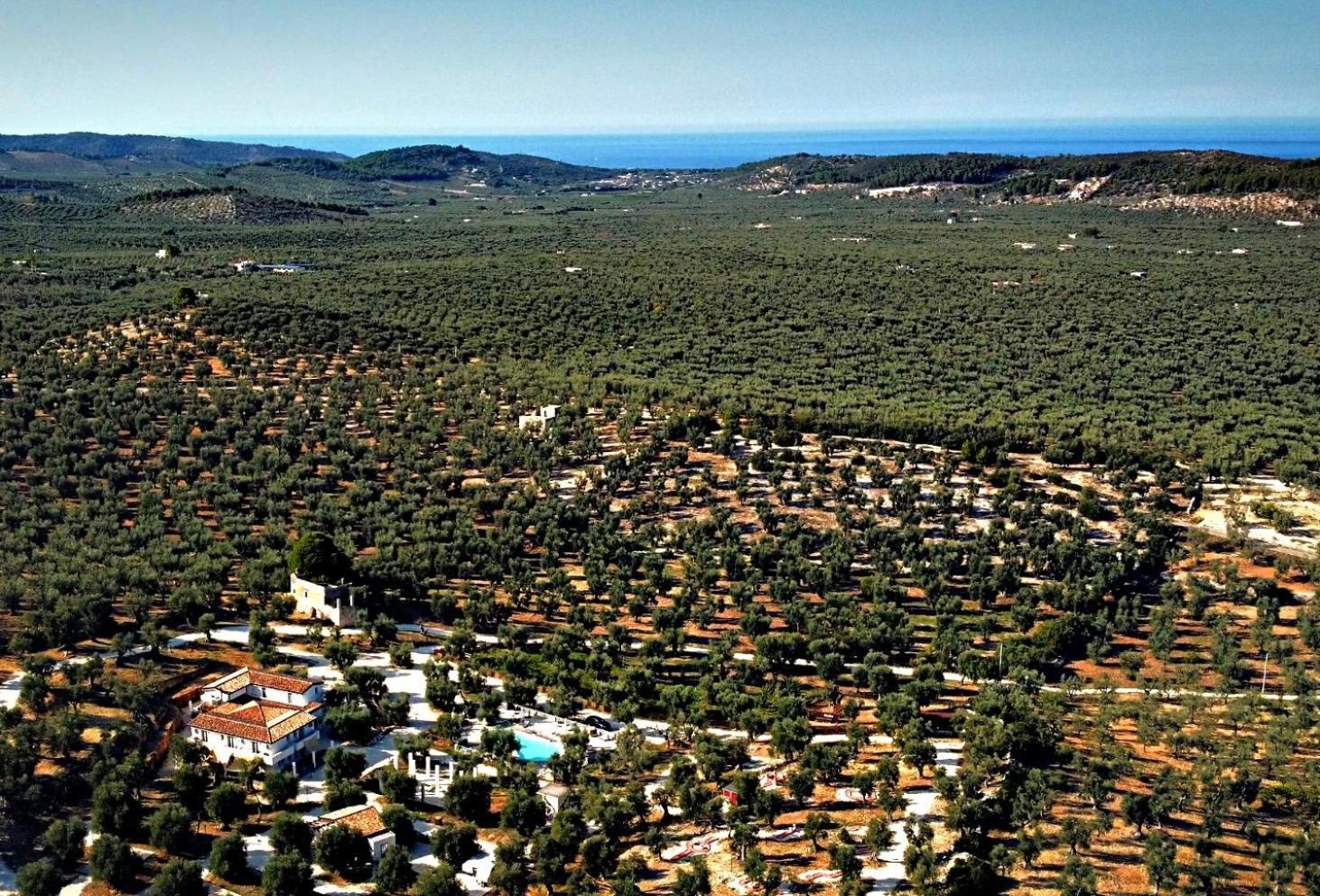 Agricampeggio - Solo Piazzole Vuote - Agriturismo Passione Natura Vieste Luaran gambar
